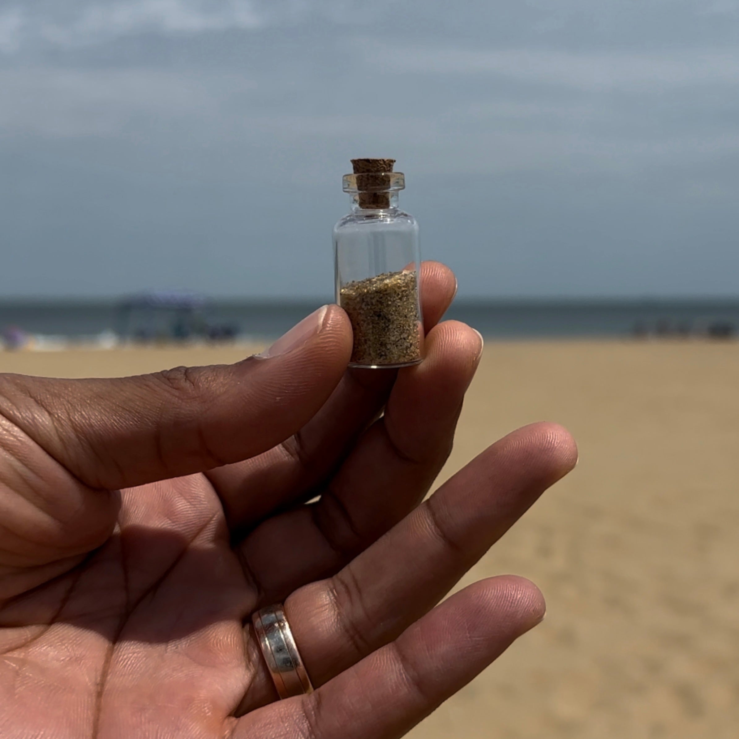 Sands Of Opportunity...